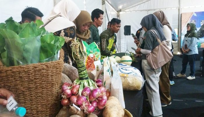 Dari Sawah ke Supermarket, Petani Bojonegoro Dapat Peluang Pasar Baru