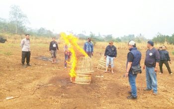Laporan Warga Ditindaklanjuti, Polisi Musnahkan Sarana Sabung Ayam di Malang