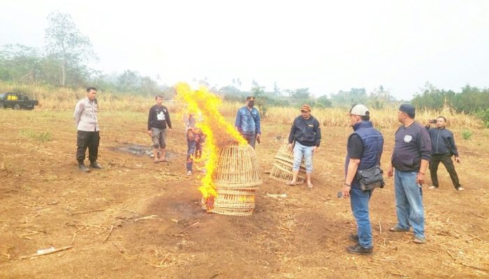 Laporan Warga Ditindaklanjuti, Polisi Musnahkan Sarana Sabung Ayam di Malang