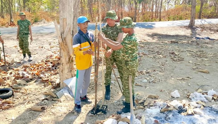 Yonif 885 dan DLH Bojonegoro Siapkan 500 Pohon, Ini Tujuannya