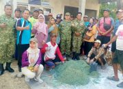 Hama Tikus Mengancam Hasil Panen di Lamongan, TNI dan Polisi Bersama Petani Bergerak