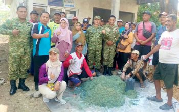 Hama Tikus Mengancam Hasil Panen di Lamongan, TNI dan Polisi Bersama Petani Bergerak
