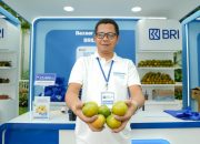Modal KUR BRI Mengubah Nasib Pedagang Jeruk Jember, Dari Usaha Kecil Kini Punya Jaringan Nasional