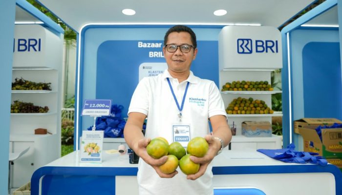 Modal KUR BRI Mengubah Nasib Pedagang Jeruk Jember, Dari Usaha Kecil Kini Punya Jaringan Nasional